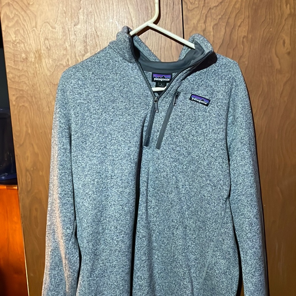 Large Patagonia mens pullover